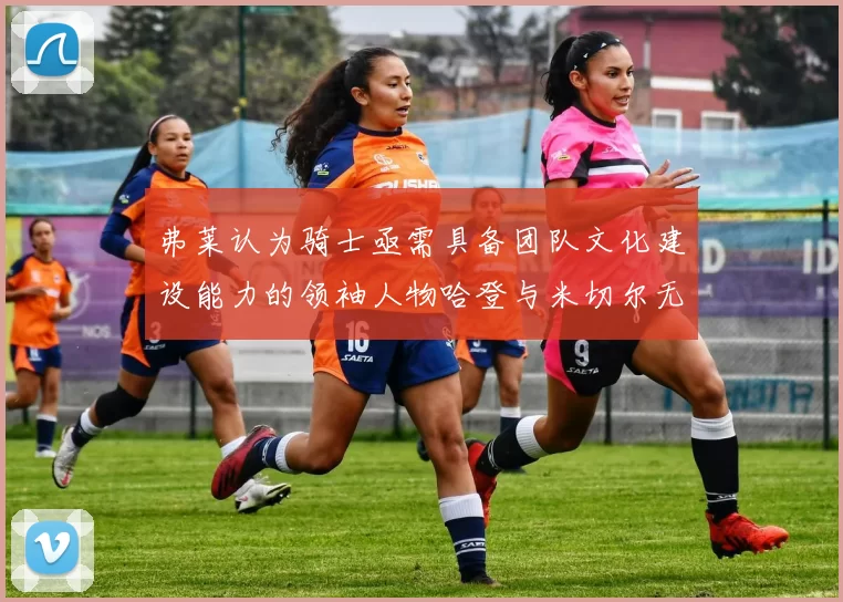 弗莱认为骑士亟需具备团队文化建设能力的领袖人物哈登与米切尔无法胜任